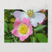 Voorjaarswensen Feestdagenkaart (Voorkant)