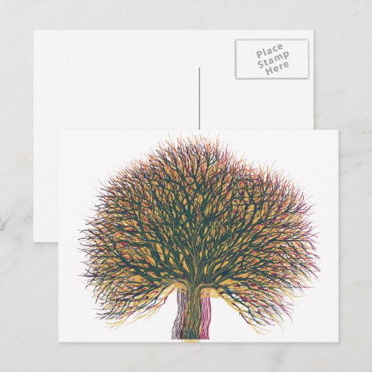 Voorjaarszomer — winterboom briefkaart (Voorkant / Achterkant)