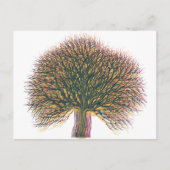 Voorjaarszomer — winterboom briefkaart (Voorkant)