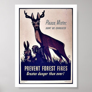 Voorkomen van bosbranden poster