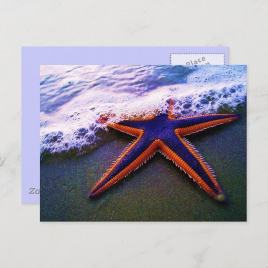 VOORKOMING BRIEFKAART (Voorkant / Achterkant)