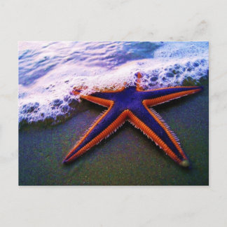 VOORKOMING BRIEFKAART