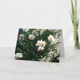 Voorlente bloesem Drie Feestdagen Kaart