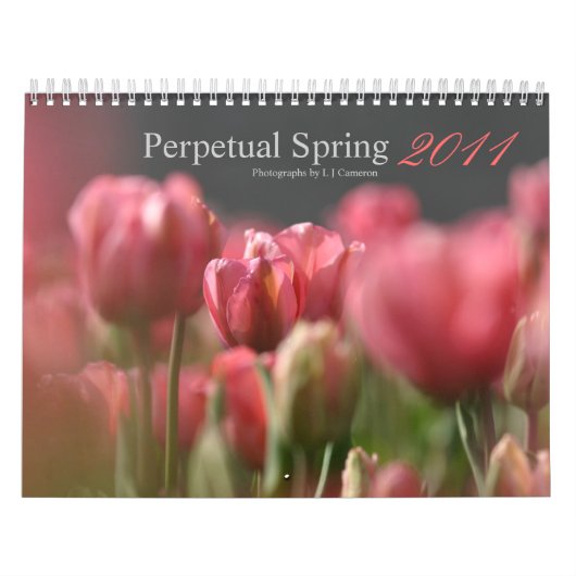 Voorlopig voorjaar 2011 kalender (Hoes)