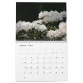 Voorlopig voorjaar 2011 kalender (Jan 2027)