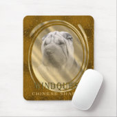 Voorlopige CSP Muismat (Met muis)