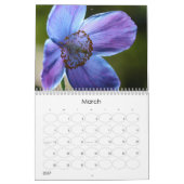 Voorlopige lente 2010 kalender (Mar 2027)
