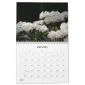 Voorlopige lente 2010 kalender (Jan 2027)