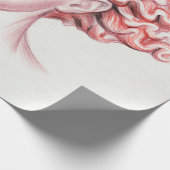 Voorlopige vrouwelijke hoofdvoorraadillustratie cadeaupapier (Hoek)