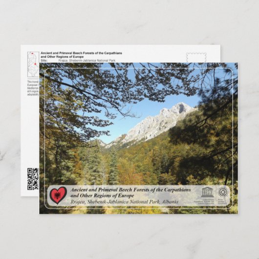 Voormalig en Primeval Beech Forests - Rrajca Briefkaart (Voorkant / Achterkant)