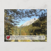 Voormalig en Primeval Beech Forests - Rrajca Briefkaart (Voorkant)