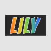 Voornaam "LILY": Fun Rainbow-kleuren Naamplaatje (Voorkant)