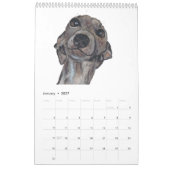VOORNAMELIJK HAZEWINDHONDEN! KALENDER (Jan 2027)