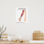 Voorpooispieren, voorste uitzicht poster (Keuken)