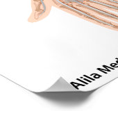 Voorpooispieren, voorste uitzicht poster (Hoek)