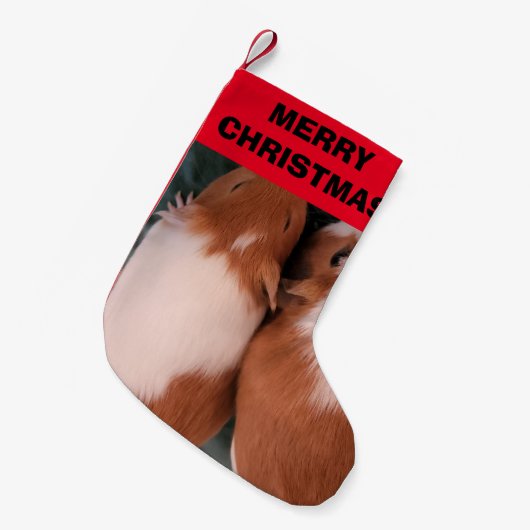 Voorraad cavia's kleine kerstsok (Voorkant (Hangend))
