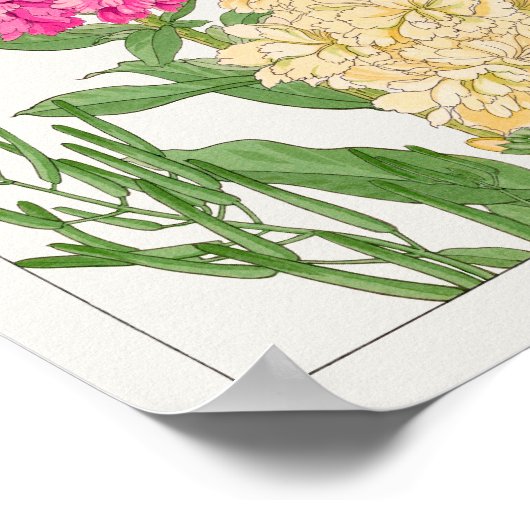 Voorraad van Tanigami Konan Poster (Hoek)