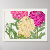 Voorraad van Tanigami Konan Poster (Voorkant)