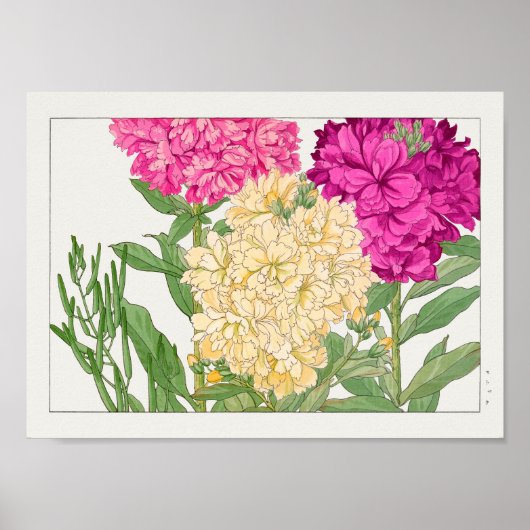 Voorraad van Tanigami Konan Poster (Voorkant)