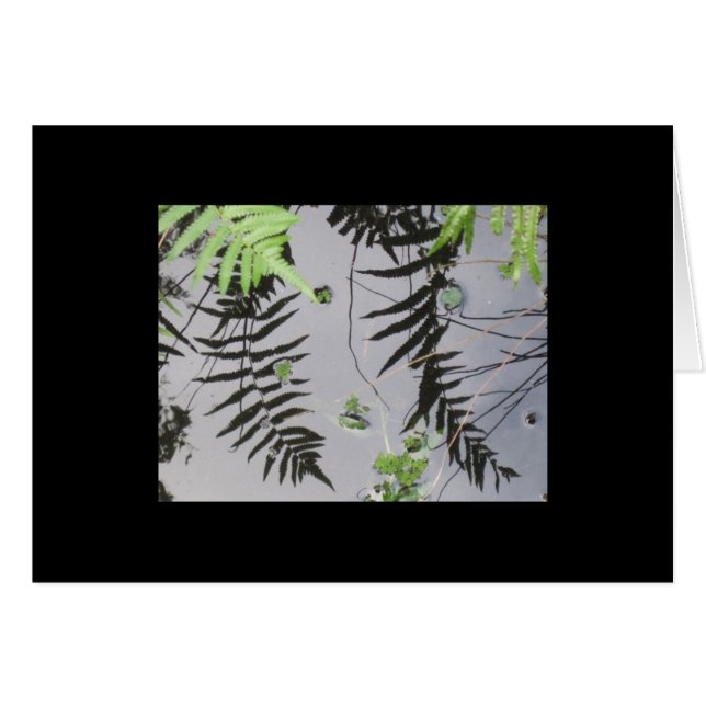 Voorreflecties (Voorkant Horizontaal)