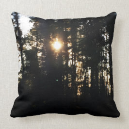 Voorruitkatoen Sierkussen 20x20