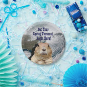 Voorspelling grondhog papieren bordje (Feest)