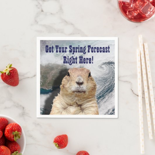 Voorspelling grondhog servetten (Insitu)