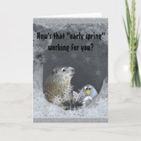Voorspelling van Groundhog Day - Major Fail!