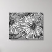 Voorste bedekte naalden canvas afdruk (Voorkant)