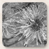 Voorste bedekte naalden in zwart-wit bier onderzetter (Voorkant)