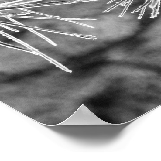 Voorste bedekte naalden poster (Hoek)