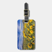 Voorste bergketen van de Rocky Mountains Bagagelabel (Voorkant verticaal)