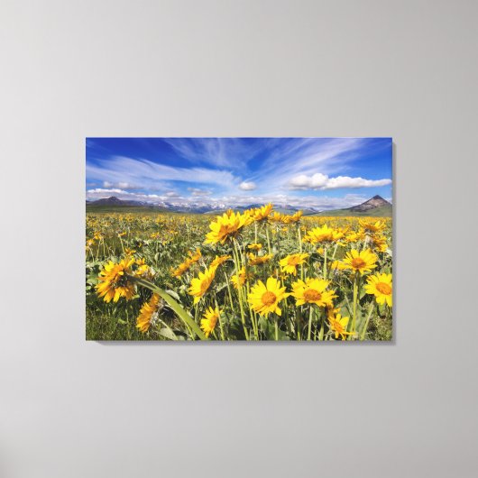 Voorste bergketen van de Rocky Mountains Canvas Afdruk (Voorkant)