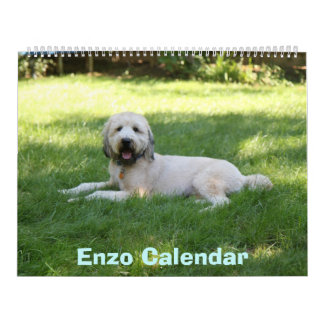 Voorste Hoesje, Enzo Calendar Kalender