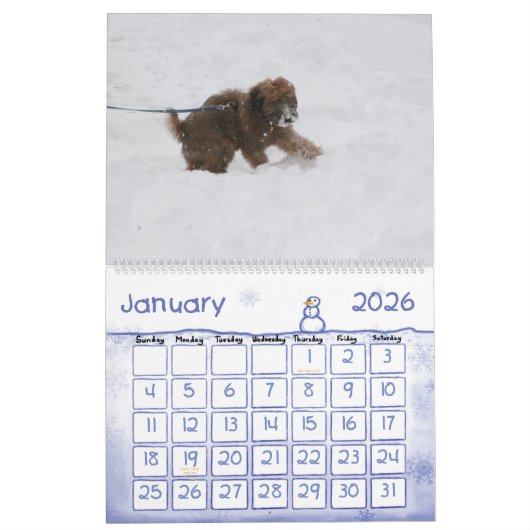 Voorste Hoesje, Enzo Calendar Kalender (Jan 2026)