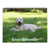 Voorste Hoesje, Enzo Calendar Kalender (Hoes)