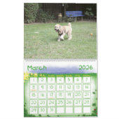 Voorste Hoesje, Enzo Calendar Kalender (Mar 2026)