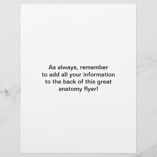 Voorste spieren Flyer (Achterkant)