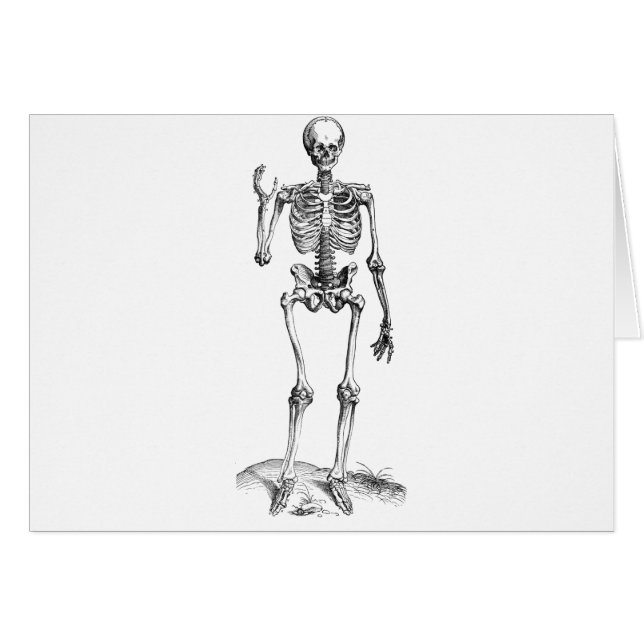 Voorste  tekening van een golvend skelet (Voorkant Horizontaal)