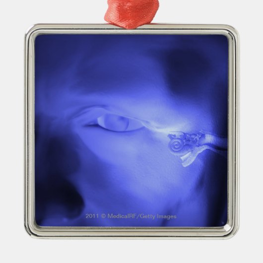 Voorste uitzicht van het binnenoor metalen ornament (Voorkant)