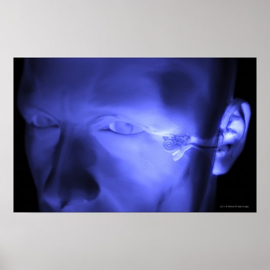 Voorste uitzicht van het binnenoor poster (Voorkant)