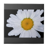 voorstel tegeltje (Voorkant)