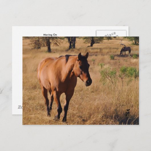 voortgaan aankondigingskaart (Voorkant / Achterkant)