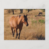 voortgaan aankondigingskaart (Voorkant)