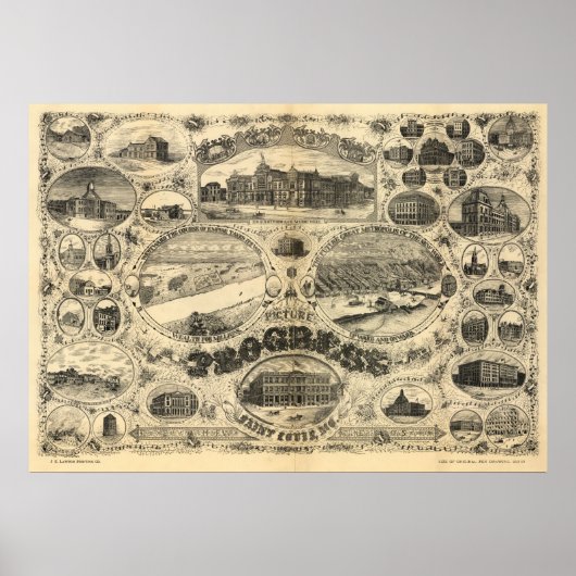 Voortgang van St. Louis - 1884 (Vogel) BigMapBlog. Poster (Voorkant)