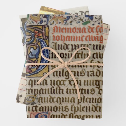 voortreffelijke middeleeuws verlichte manuscripten inpakpapier vel (In situ)