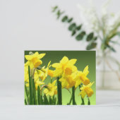 VOORTZETTING VAN DAFFODILS DOOR SHARON SHARPE BRIEFKAART (Staand voorkant)