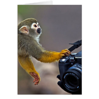 Vooruit! laat me de kans nemen