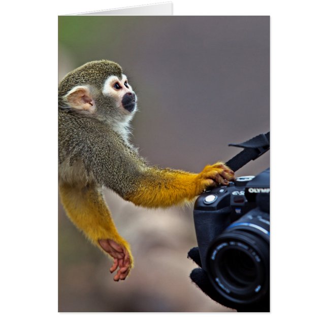 Vooruit! laat me de kans nemen (Voorkant)