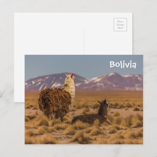 Vooruitblikkend Briefkaart (Voorkant / Achterkant)